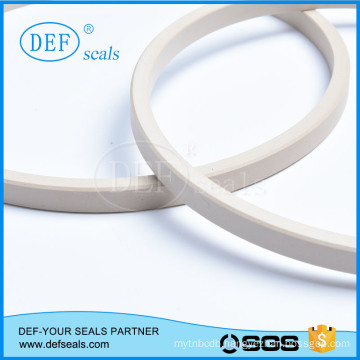 Piston Step Combination Seal/Seal PTFE +Polyester Guide Ring Gst